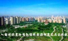 深入解析欧意冷钱包转账截图的意义与使用技巧