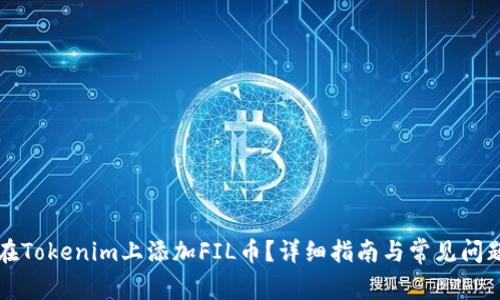 如何在Tokenim上添加FIL币？详细指南与常见问题解析