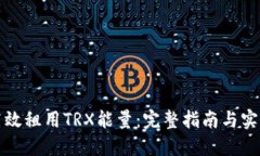 如何高效租用TRX能量：完整指南与实用技巧