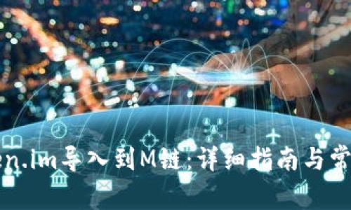 如何将Token.im导入到M链：详细指南与常见问题解析