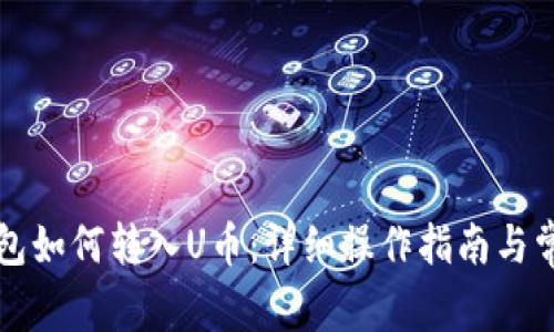 Token.im钱包如何转入U币:详细操作指南与常见问题解答