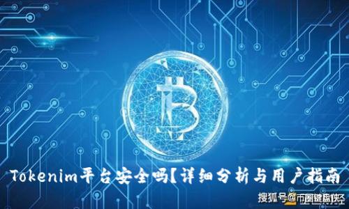 Tokenim平台安全吗？详细分析与用户指南