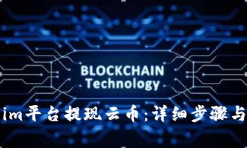 如何在Token.im平台提现云币：详细步骤与常见问题解答