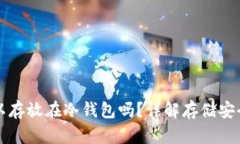 狗狗币可以存放在冷钱包吗？详解存储安全性与