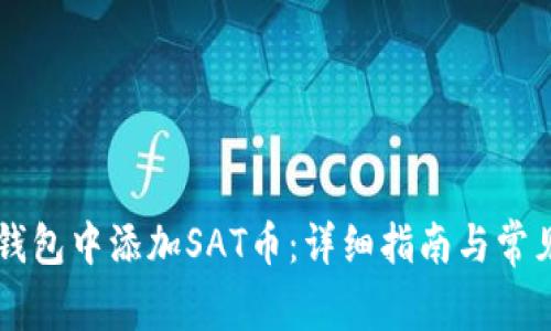 如何在im钱包中添加SAT币：详细指南与常见问题解析