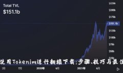 如何使用Tokenim进行翻墙下载：步骤、技巧与最佳