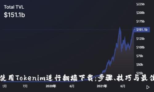 如何使用Tokenim进行翻墙下载：步骤、技巧与最佳实践