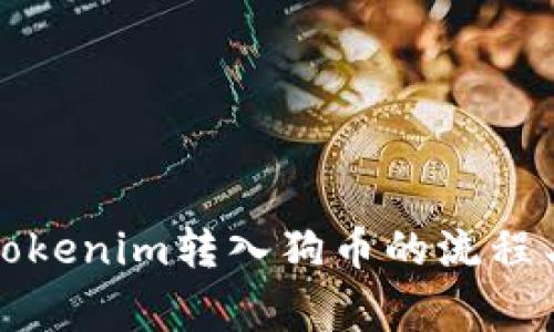 深入了解Tokenim转入狗币的流程与注意事项