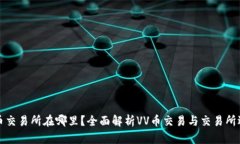 VV币交易所在哪里？全面解析VV币交易与交易所选