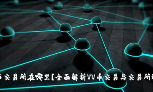 VV币交易所在哪里？全面解析VV币交易与交易所选择