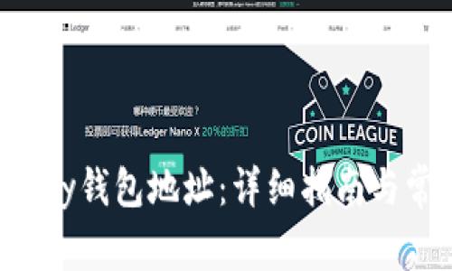 如何找到Topay钱包地址:详细指南与常见问题解答