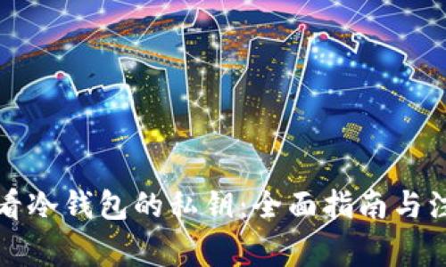 如何查看冷钱包的私钥：全面指南与注意事项