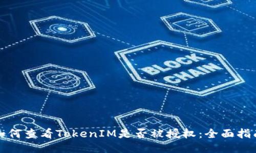 如何查看TokenIM是否被授权:全面指南