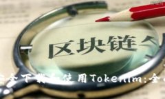 如何安全下载和使用Tokenim：全面指南