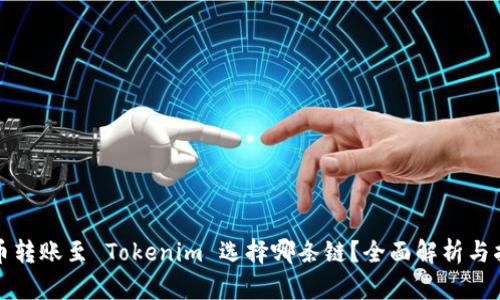 火币转账至 Tokenim 选择哪条链？全面解析与指南