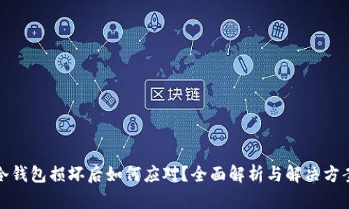 冷钱包损坏后如何应对？全面解析与解决方案