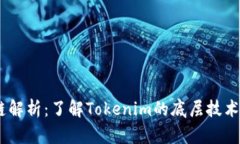  Tokenim链解析：了解Tokenim的底层技术与应用场景